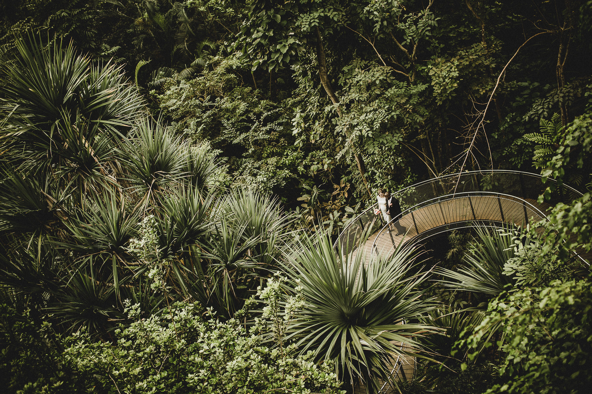 Export x3  DX 2203 Hochzeit 2014 Jana & Ghersom @ Regwnwald